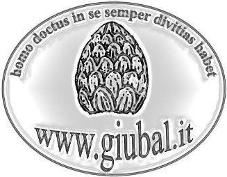 Avvocato Rotale